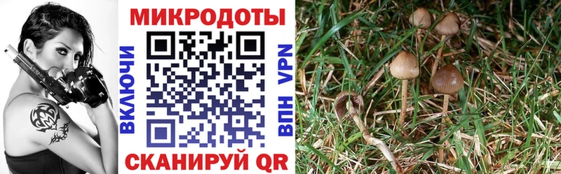 Галлюциногенные грибы Magic Shrooms  Казань 