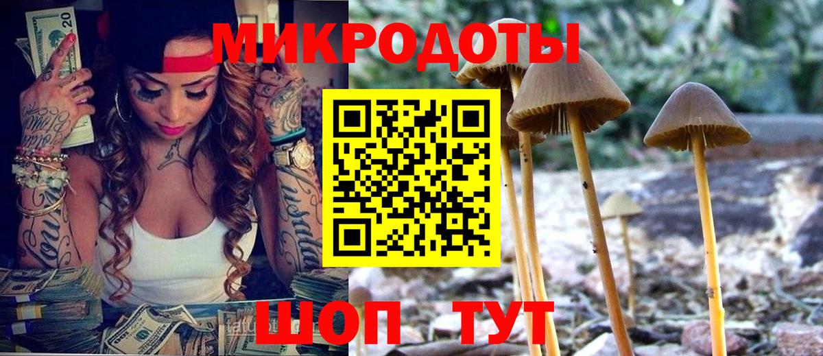 Галлюциногенные грибы Psilocybine cubensis  Псилоцибиновые грибы GOLDEN TEACHER  Казань  Вход с VPN 