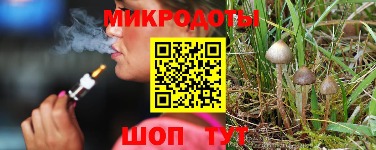 Псилоцибиновые грибы мухоморы Казань